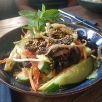 Mango soy meat salad at Madame Tâm City in Aachen