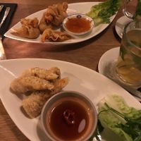 Vegan spring rolls and vegan wan tan  at Madame Tâm City in Aachen