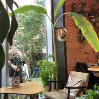 Cozy atmosphere  at GRÜN in St Petersburg