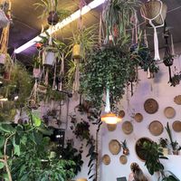 interior‘s so nice! at GRÜN in St Petersburg