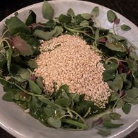 Full tasting menu at Dirt Candy in New York City