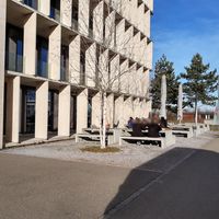 Outdoor seating at Rice Up - Wolfgang in Zurich