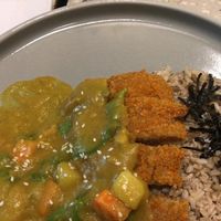 Japanese Katsu Curry at Burgreens - Menteng in Jakarta