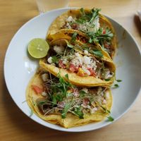 Banana blossom tacos at Verdine in Houston