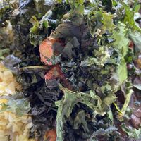 Jerk Entree   at Verdine in Houston