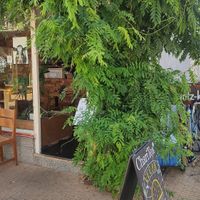 Just the nicest location, serving me the comfort food that I needed today at Lust in Groningen