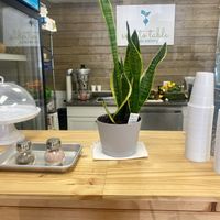 The counter   at Seed to Table Vegan Eatery in Venice