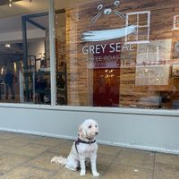 Front  at Grey Seal Coffee in Cromer