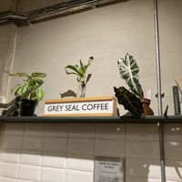 Plant based. Coffee. Plants #Veganuary at Grey Seal Coffee in Cromer