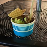 Vegan mint chip and chocolate Oreo  at Melt in North Myrtle Beach