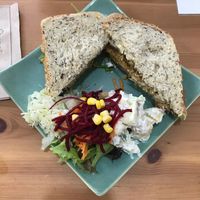 Sandwich and three salads at Catchacarrot Vegan in Ardfern