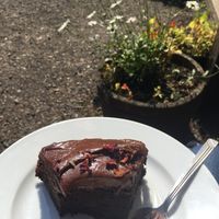 Beetroot chocolate cake yum  at Catchacarrot Vegan in Ardfern