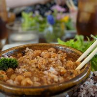 Vegetarian Curry at Apron Cafe in Naoshima