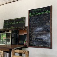100% vegan menu at Mama's Garden - Maybe closed in 