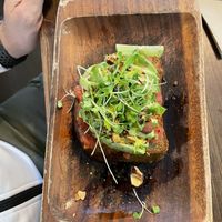 Avocado toast  at Eqvilibrivm Cafe in Barcelona