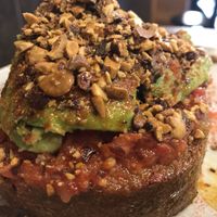 Avocado on toast  at Eqvilibrivm Cafe in Barcelona