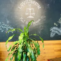 Equilibrium  at Eqvilibrivm Cafe in Barcelona