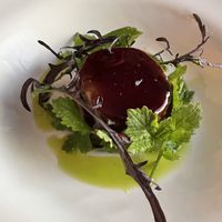   at Pisco in Vila Do Bispo