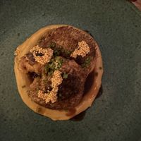 Lion mushroom   at Pisco in Vila Do Bispo