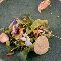   at Pisco in Vila Do Bispo