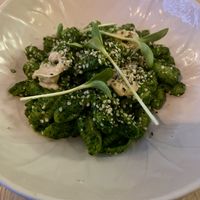   at Pisco in Vila Do Bispo