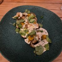 Lions Mane Mushrooms  at Pisco in Vila Do Bispo