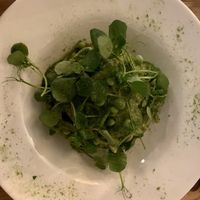 I forgot the name - pasta with peas is all I can remember from the taste. Which was heavenly   at Pisco in Vila Do Bispo