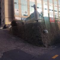 Outside at Babiboyak in Jeju