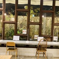 Inside  #Veganuary at Mumokuteki Vegan Cafe in Kyoto