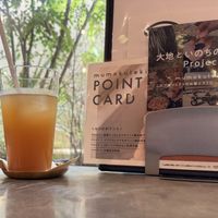 Homemade ginger ale .  at Mumokuteki Vegan Cafe in Kyoto