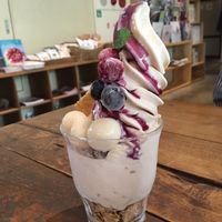 Berry Parfait  at Mumokuteki Vegan Cafe in Kyoto