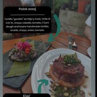 Polok waaj and kiwi at IX CAT IK in Valladolid