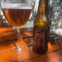   at IX CAT IK in Valladolid