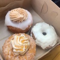 Give me more! at Lovebirds Donuts in Kittery