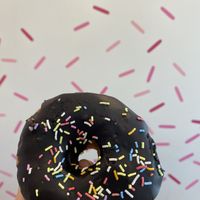   at Lovebirds Donuts in Kittery