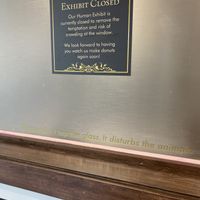   at Lovebirds Donuts in Kittery