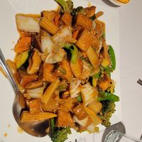 Double Pan Fried Noodles at Mapo Restaurant in Naperville