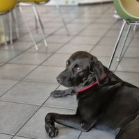 Sehr ruhiger und lieber Türsteher at Avocadobar in Wurzburg