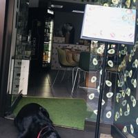 Eingangskontrolle  at Avocadobar in Wurzburg