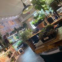   at Planted in Brooklyn