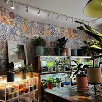   at Planted in Brooklyn