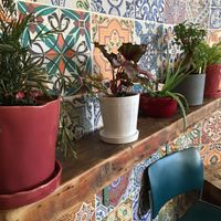 Plants!!!! at Planted in Brooklyn