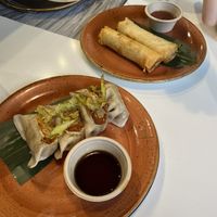 Vegan Gyoza & vegan spring rolls  at UDON in Malaga