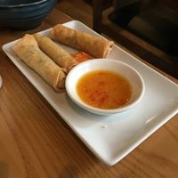 Spring rolls at Ping Pong Dim Sum in London