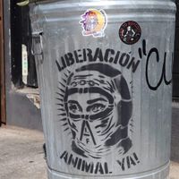  at Seitan's Helper in Brooklyn