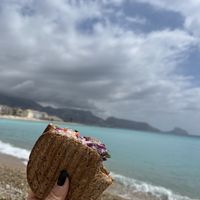   at PLANT SHACK - Altea in Altea