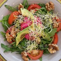 Delicious vegan avocado beetroot hummus walnut sallad at PLANT SHACK - Altea in Altea