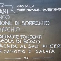 Vegan options  at Gelateria Loggetta in Mantova