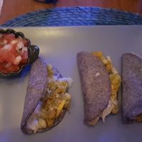 Quesadillas veganas con flor de calabacín at Azul Frida in Barcelona