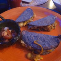 Quesadillas de flor de calabaza con queso vegano at Azul Frida in Barcelona